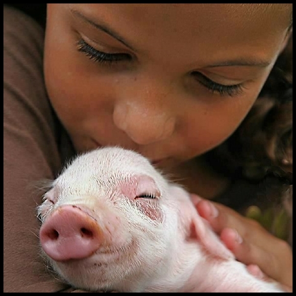 🥳🥳 We Did It!!!! 🥳🥳 Thank You ALL So Much ♡♥︎♡ - Picture 6 of 7